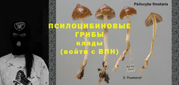 молекула духа Нягань