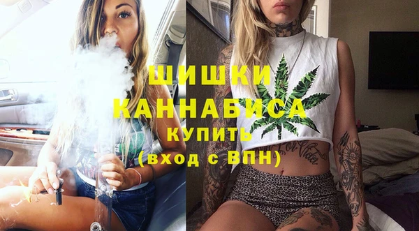 молекула духа Нягань