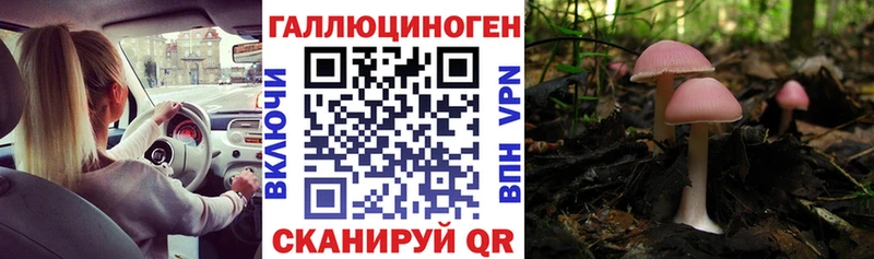 Псилоцибиновые грибы GOLDEN TEACHER Большой Камень